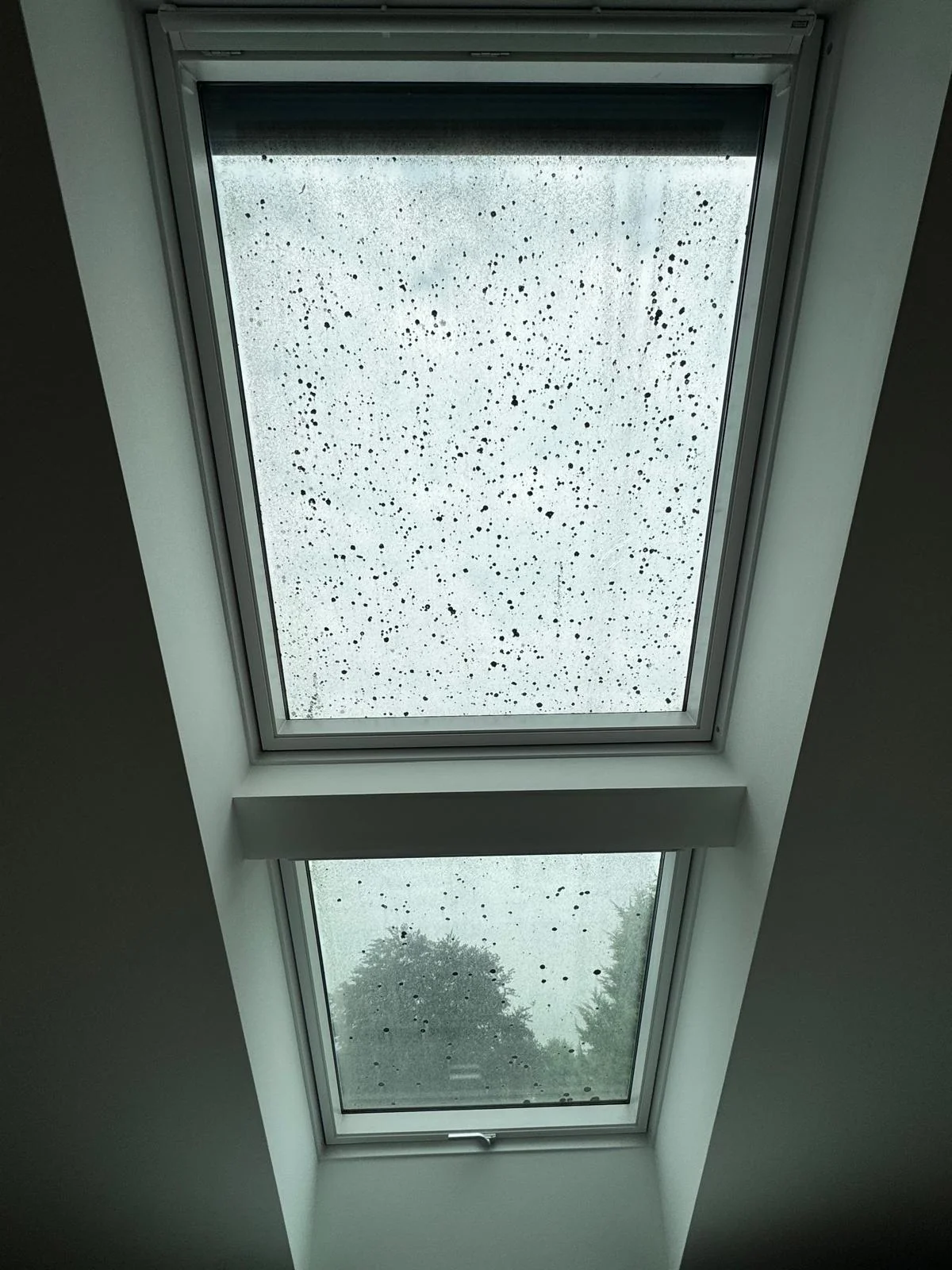 Professionelle Fensterreinigung durch Hausmeister- und Gartenservice Niederrhein